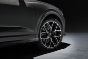 Audi RS Q3 edition 10 years