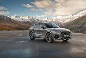 Audi RS Q3 edition 10 years