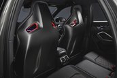 Audi RS Q3 edition 10 years