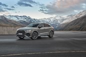 Audi RS Q3 edition 10 years