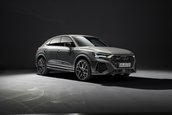 Audi RS Q3 edition 10 years