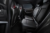 Audi RS Q3 edition 10 years