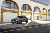 Audi RS Q3 edition 10 years