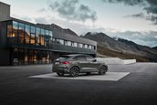 Audi RS Q3 edition 10 years