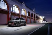 Audi RS Q3 edition 10 years