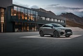 Audi RS Q3 edition 10 years