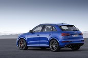 Audi RS Q3 performance