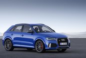 Audi RS Q3 performance