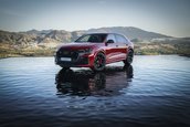 Audi RS Q8 si Audi RS Q8 Performance