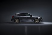 Audi RS Q8 si Audi RS Q8 Performance