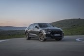 Audi RS Q8 si Audi RS Q8 Performance