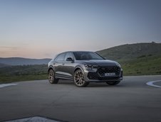 Audi RS Q8 si Audi RS Q8 Performance