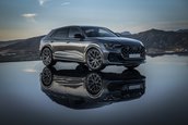 Audi RS Q8 si Audi RS Q8 Performance