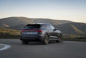 Audi RS Q8 si Audi RS Q8 Performance
