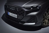 Audi RS Q8 si Audi RS Q8 Performance