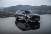 Audi RS Q8 si Audi RS Q8 Performance