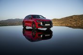 Audi RS Q8 si Audi RS Q8 Performance