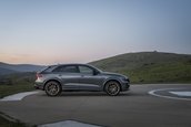Audi RS Q8 si Audi RS Q8 Performance