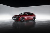 Audi RS Q8 si Audi RS Q8 Performance