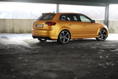 Audi RS3 Sportback by SCHWABENFOLIA
