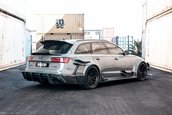 Audi RS6 Avant DTM Style