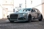 Audi RS6 Avant DTM Style