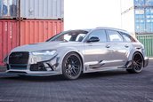 Audi RS6 Avant DTM Style