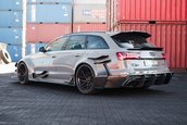 Audi RS6 Avant DTM Style