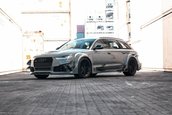 Audi RS6 Avant DTM Style