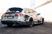 Audi RS6 Avant DTM Style