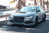 Audi RS6 Avant DTM Style