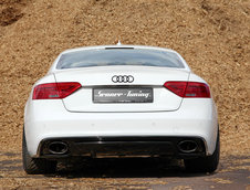 Audi S5 by Senner Tuning