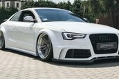 Audi S5 tunat in Polonia