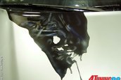 Audi S8 Tuning si Painting