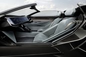 Audi Skysphere Concept