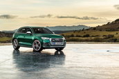 Audi SQ5 diesel