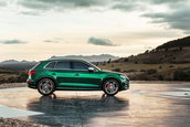 Audi SQ5 diesel