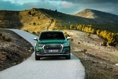 Audi SQ5 diesel