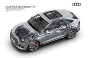 Audi SQ5 Sportback TDI