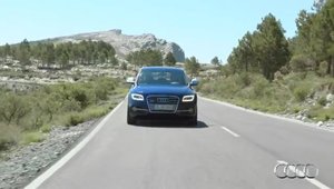 Audi SQ5 TDI in detaliu