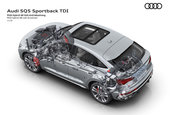 Audi SQ5 TDI Sportback