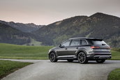 Audi SQ7 TFSI si Audi SQ8 TFSI