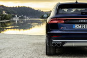 Audi SQ7 TFSI si Audi SQ8 TFSI