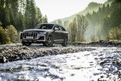 Audi SQ7 TFSI si Audi SQ8 TFSI