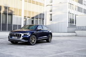 Audi SQ7 TFSI si Audi SQ8 TFSI