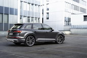 Audi SQ7 TFSI si Audi SQ8 TFSI