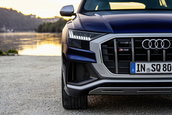 Audi SQ7 TFSI si Audi SQ8 TFSI