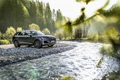 Audi SQ7 TFSI si Audi SQ8 TFSI
