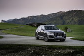 Audi SQ7 TFSI si Audi SQ8 TFSI