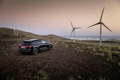 Audi SQ8 E-Tron si Audi SQ8 Sportback E-Tron